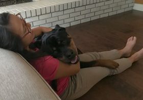 Doggo cuddles are the best! @hendrixandkingston [instagram]