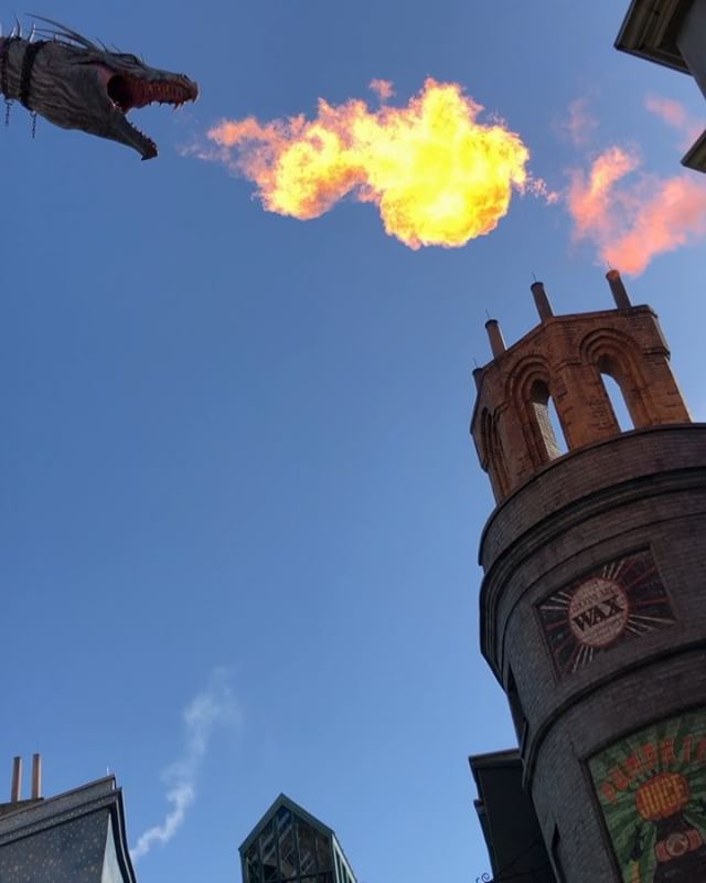 Rwarr! [instagram]