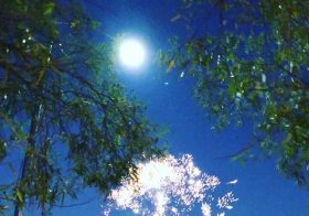 No shortage of fireworks in the NW of Vegas. Hope everyone had a fun 4th (and kept your doggos safe, too!) #4thofjuly [instagram]