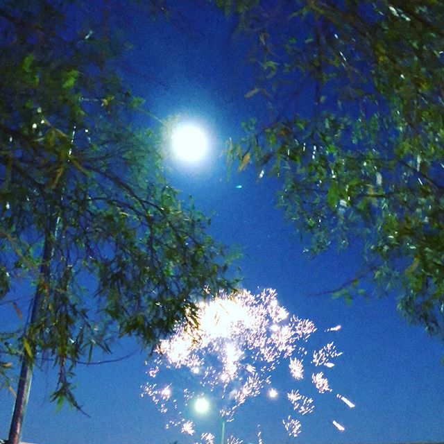 No shortage of fireworks in the NW of Vegas. Hope everyone had a fun 4th (and kept your doggos safe, too!) #4thofjuly [instagram]