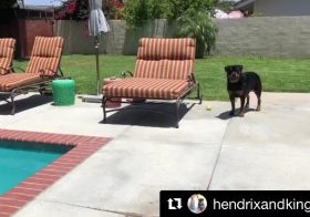 Sound on and watch ‘til the end. .#Repost @hendrixandkingston with @get_repost・・・Wait for it. 😎🏾.(Best with) [instagram]