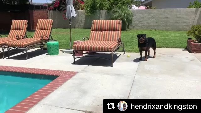 Sound on and watch ‘til the end. .#Repost @hendrixandkingston with @get_repost・・・Wait for it. 😎🏾.(Best with) [instagram]