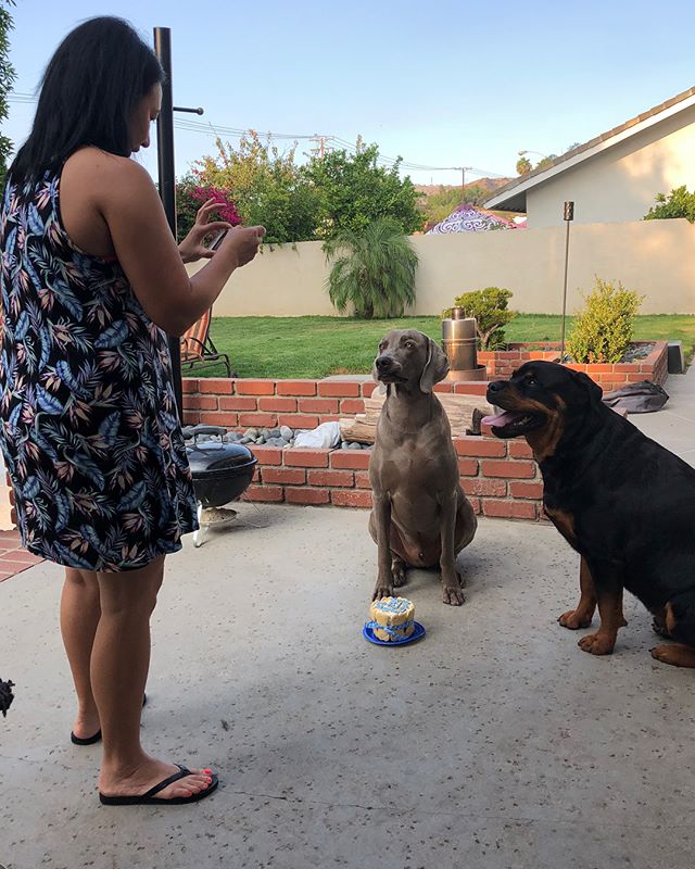 Sis: Smile boys!Hendrix: This is Kingston’s bestest day ever! Kingston: Take the dang photo biotch. I want my cake!🤣 [instagram]