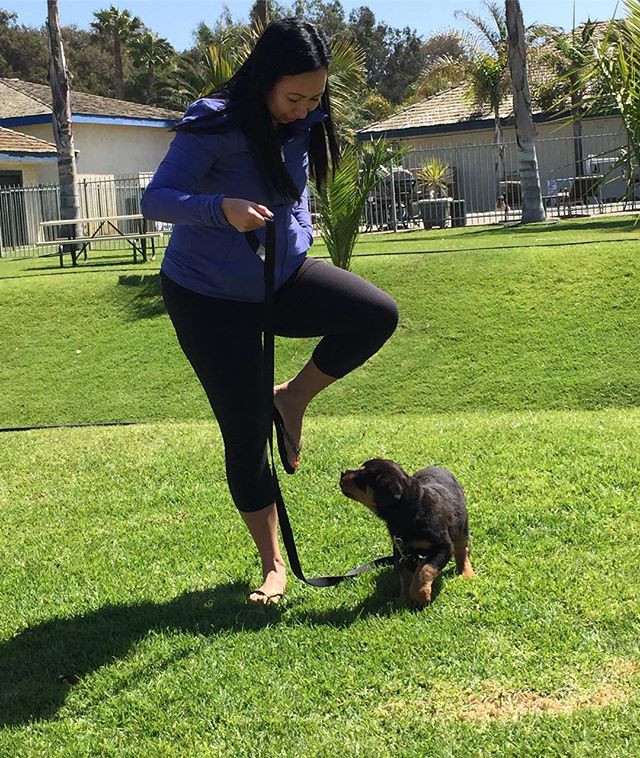 Changing the rules by posting a Throwback TUESday since I couldn’t resist sharing this. This was how my sis took care of Hendrix his first few days with them. She was soooo scared of him! 🤣 Now she’s a pro Doggo Mommy. [instagram]