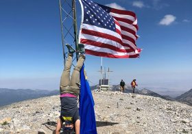 I finally got to hike Mt Charleston today. En route, we saw some friends, and old plane wreckage. We attempted to run on our descent, tried to find nirvana, but got hungry, saw the Peak from halfway down, tried to row a trough, and became one with a very old tree.  #trailjunkie #stingorbeestung [instagram]