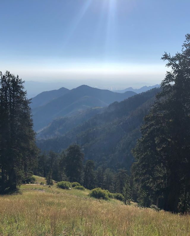Good times hiking up to Griffith Peak! Ok, I struggled the entire uphill (so sluggish and sleepy?) but the lovely company & sweet views made up for it! Bonus: Nature! (2 deer sightings ) [instagram]