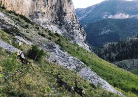 Tips to enjoy South Loop trail to Mt Charley. Step 1: Find friends to join you. Step 2: Enjoy the scenery & company.Step 3: Ditch friends after 3hrs but leave them an able guide. Optional steps:•Bring relief oil for your toothache. •Sleep is for suckers. •Pre-Hike caloric intake is for suckers, too. •Also, carb depletion sucks. 🤣 Hint: do not follow optional steps. lol I’m a #dumbarse [instagram]