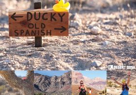 Trails of Glory registration is open! 🏽 DM me for #ultrasignup code. Did I mention this is my fav trail race in Nevada?  Link in bio. [instagram]