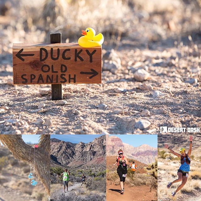 Trails of Glory registration is open! 🏽 DM me for #ultrasignup code. Did I mention this is my fav trail race in Nevada?  Link in bio. [instagram]
