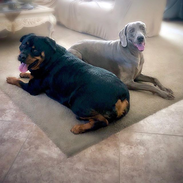 And just like that, the boys (& sis) are headed back to The OC. [instagram]