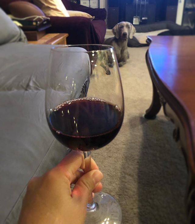 Cheers! Virtual drinking with @wining__runner @sandra.beaver.39 #carboload 🤣 [instagram]