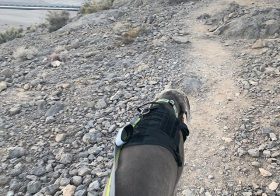 Last night, Kingston wore his Ruck Vest and we went up Lone Mountain (to the saddle). He did great! Hoping he’ll do well for this weekend’s ruck march up Black Mtn 🤣 [instagram]