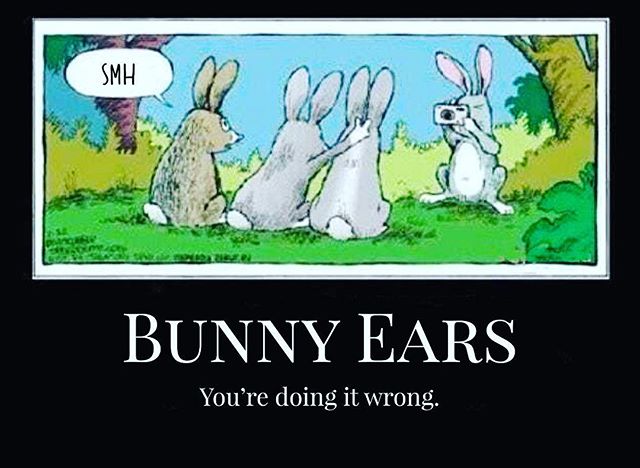 Happy Easter (if you celebrate it!) #easter2019 #eastersunday #easterbunny [instagram]