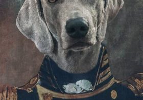 I can neither confirm nor deny that I’ll be ordering these portraits on canvas 🤣#dogsofinstagram [instagram]
