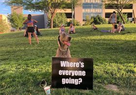 Belated happy Global Running Day! More pics from last night to follow. In the meantime, here’s Kingston from last night [instagram]