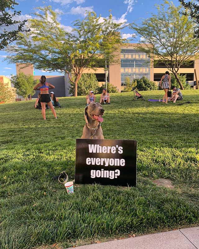 Belated happy Global Running Day! More pics from last night to follow. In the meantime, here’s Kingston from last night [instagram]