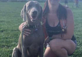 Kingston enjoyed Global Running Day last night— especially with all the posing for photos and of course, the running lol. #weimlove [instagram]