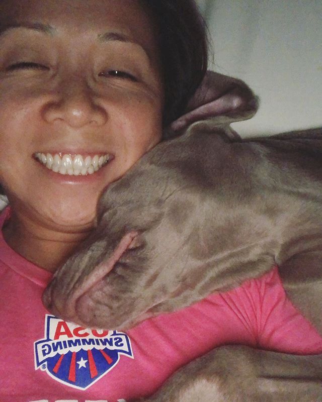 This boi preferred my 800 thread count Egyptian cotton sheets to his little @ikeausa duvet cover 🤣 Also, cuddles. #bougypup #weimlove #weimaraner [instagram]