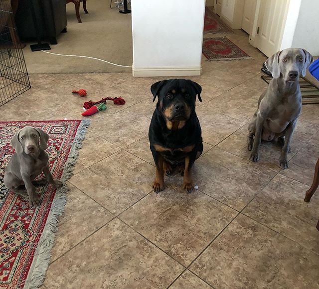 Friends in Vegas posting first day of school photos. Meanwhile, me... 🤣 [instagram]