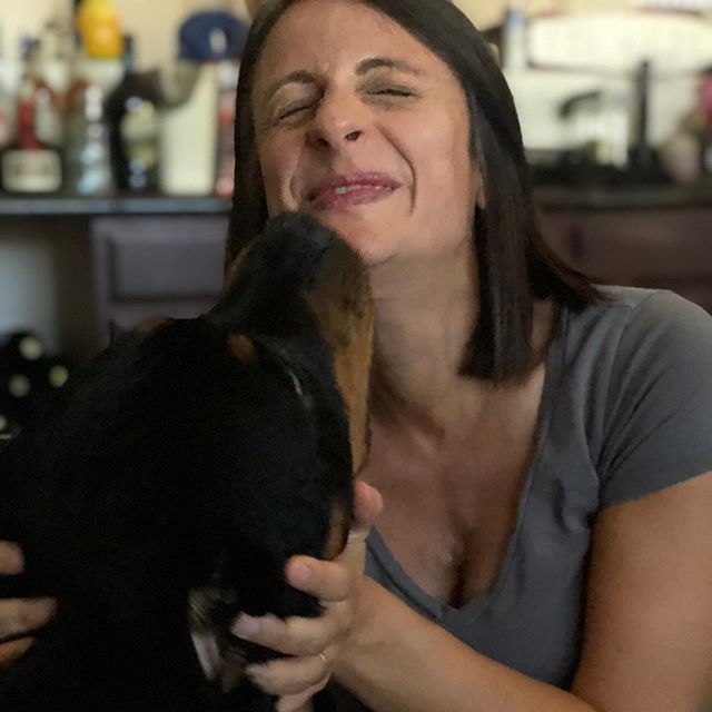 Auntie @brandy.trail just wanted to say hello to @sterlingd.weim but got way more than she expected thanks to kisses from @hendrixandkingston Sorry @lvtrailjogger you have some competition here...  #doggokisses #ohmyy #weimaraner [instagram]