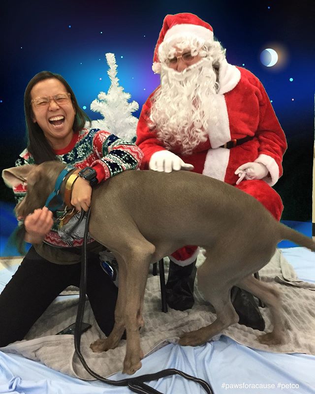 It’s Sterling’s first Christmas season, so naturally, we go visit Santa... This wasn’t how I thought it would go, though.  After waiting for our turn, Sterling did NOT want to hang with Santa, even with All. The. TREATS. 🤣 Thanks to Petco, for trying lol! Maybe next year! It was for a great cause anyway. 🏽#pawsforacause @petco #pawsin @trupanion [instagram]