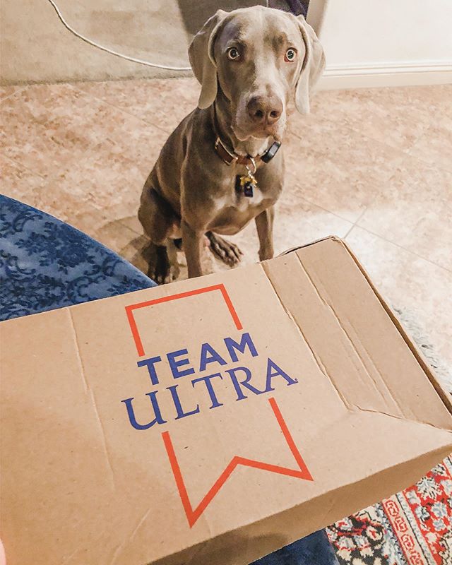 Sterling salutes the arrival of my #TeamULTRA @michelobultra team packet! Thank you 🏽 and I’m so excited to be endorsed by my fav Ultrarunning & my post-marathon beer. 🏽😎 Also, @angieapril777 challenged me to do a #see10do10 but I modified it!  If you want to play, please tag me that you did (and any movement for 10 reps counts!) #kippinghandstandpushups #scaledworld #michelobultra #teamultracontest #endorsementdeal [instagram]