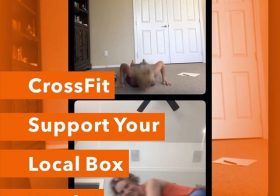 Workout 1 of Support Your Local Box (benefitting @westtechcrossfit) done! @wining__runner @sandra.beaver.39 & I FaceTimed the workout. Special appearance by @sterlingd.weim lol.I only got to 202 reps, but am feeling motivated to workout again🏽 #CrossFitgirls #crossfit #wagsandweights #wodsanddogs #weimaraner #weimsofinstagram [instagram]