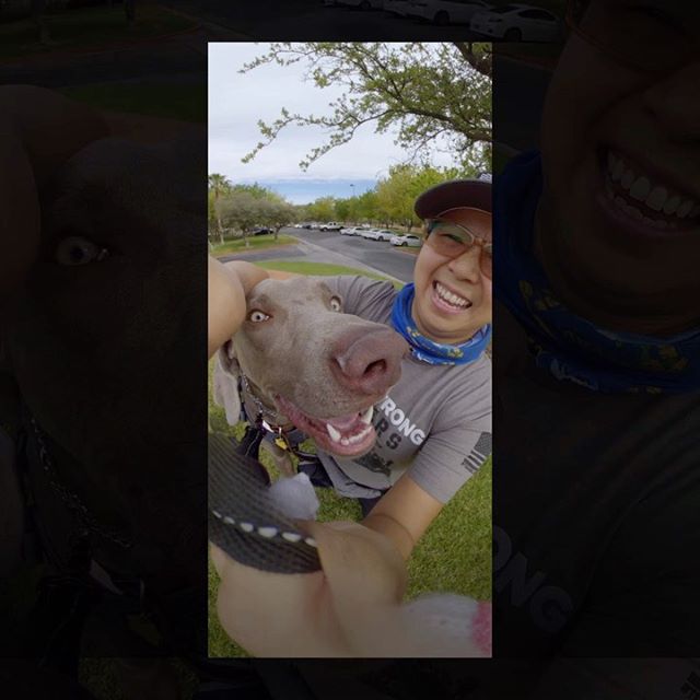 It was an awesome morning with friends because after nearly half a year, I finally got my rucksack back on and joined @vegasstrongruckers on a #ruckclubcallout called Donut Ruck. And yes, there were doughnuts in the end (sadly, no video of me consuming it). @millionburpee programmed an awesome workout which everyone did before heading off on our ruck.Sterling did well and earned his 3rd patch in his 4th ever Ruck. Shoutout to @lovestheocean2 on her first Ruck! 🏽🏽🏽#vegasstrong #ruckclub #goruck [instagram]