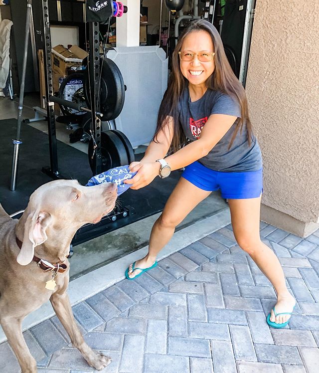 Thanks @desertdashtrailraces for the awesome #Lucky13 Challenge again! @ooh_la_lant delivered my shirt and I immediately regretted not getting one for Sterling (who also completed the challenge!) Any chance you ordered extra shirts for purchase? 😬🤣 #virtualchallenge #weimaraner #weimsofinstagram #teamultra #baseperformance [instagram]