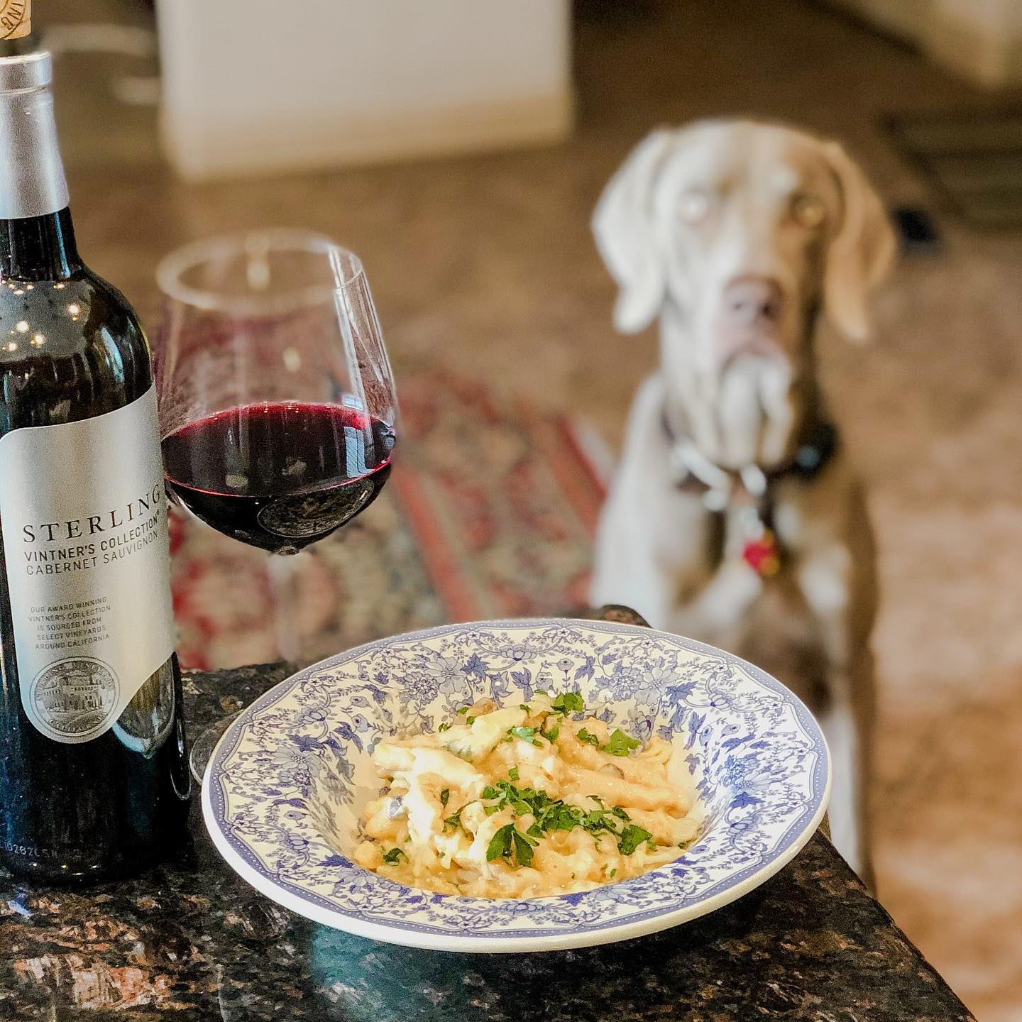 White truffle mac & cheese. #lunch #sterlingvineyards #weimaraner #weimsofinstagram [instagram]