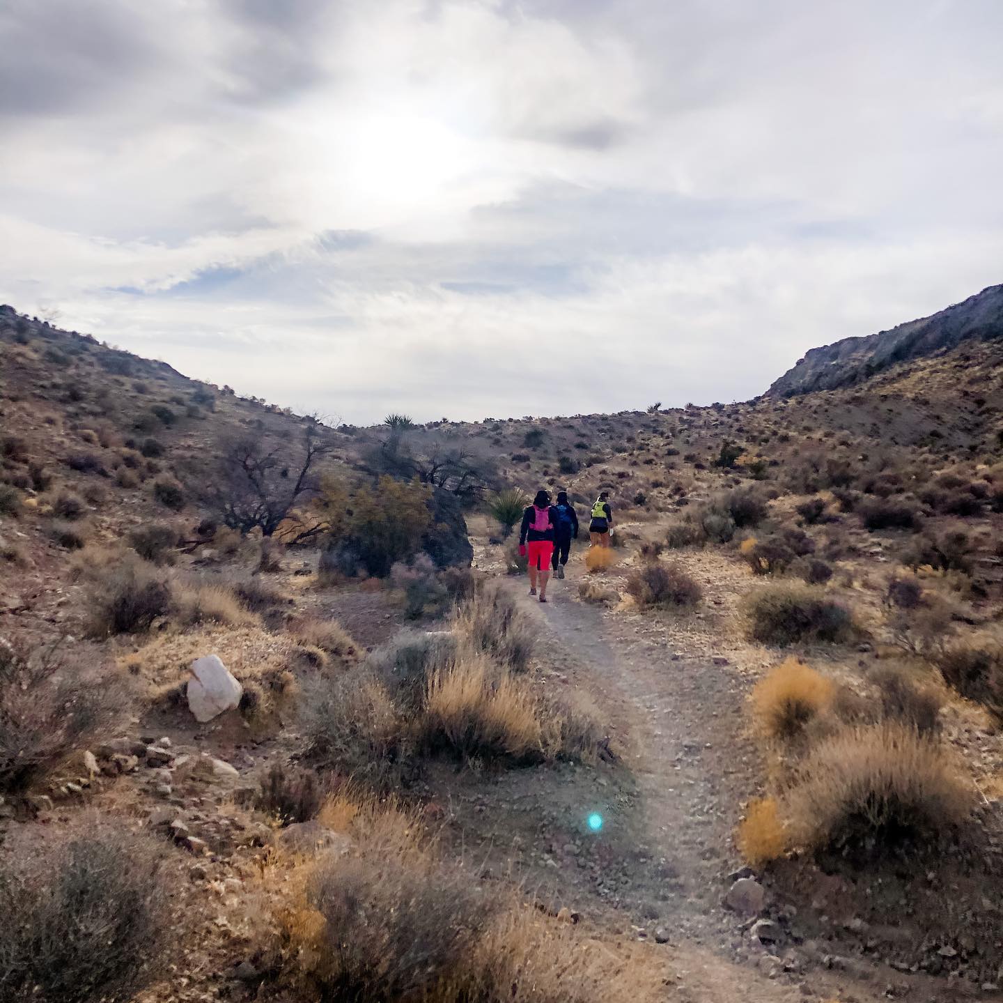 Trail fun, part one. I forgot what this “trail running” was 🤪 #ultrarunners #trailrunningvegas #trailrunners #optoutside [instagram]
