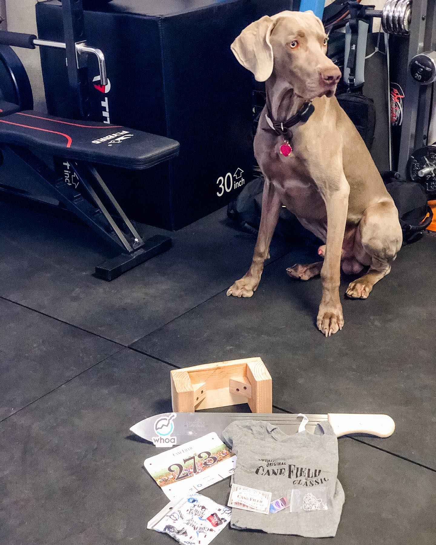 Best. Race. Swag. Yup, that’s a full-sized engraved machete! Thanks so much to Walker  @whoa_runner and #whoaracing for the sweet swag & even awesome (virtual) race! Here’s to doing the in-person event this year 🏽#canefieldclassic #machetes [instagram]